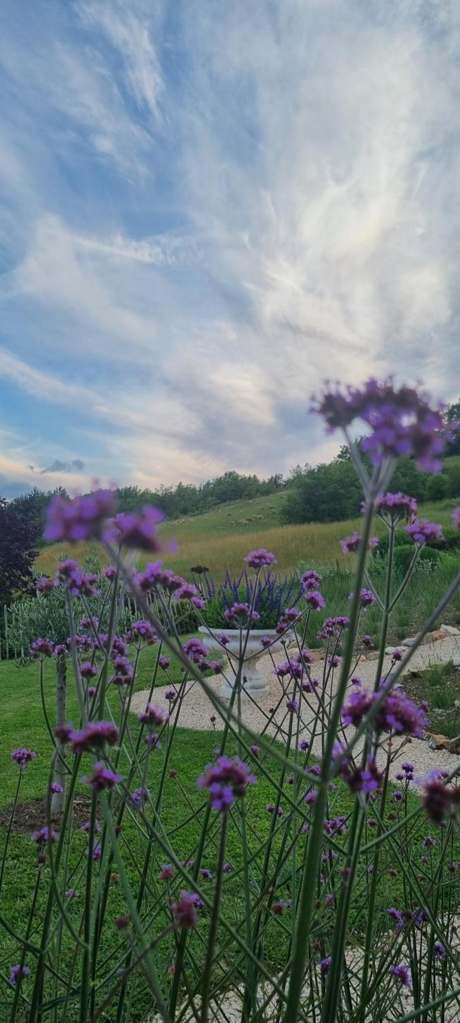 Bed and Breakfast Mas Tulipe De Soie Bevons Zewnętrze zdjęcie