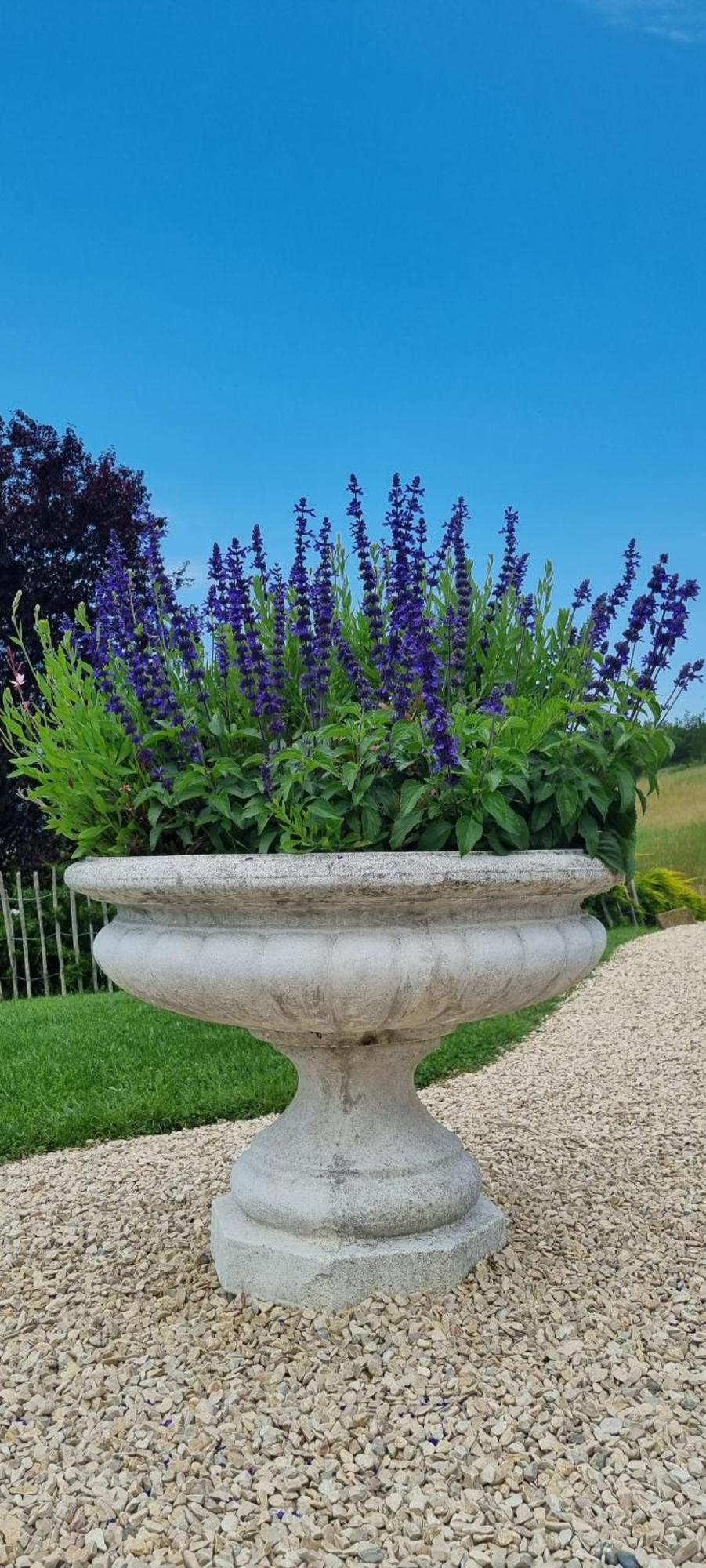 Bed and Breakfast Mas Tulipe De Soie Bevons Zewnętrze zdjęcie